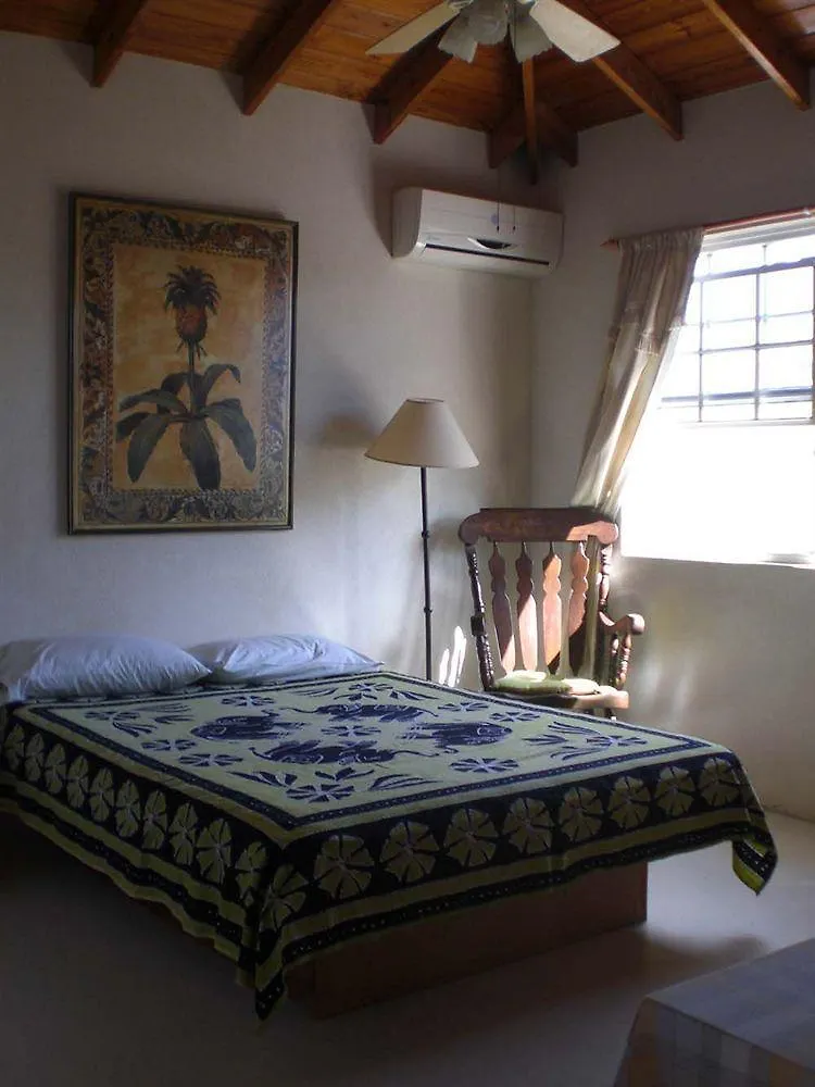 Gemini House Bed&Breakfast Christ Church